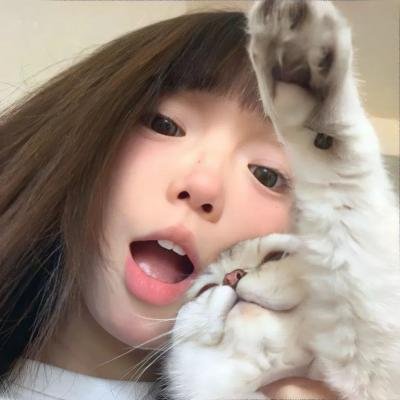 竞选伙伴