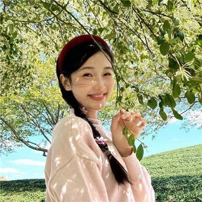 新木偶奇遇记